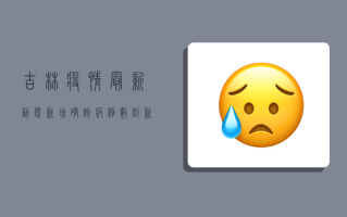 吉林疫情最新动态，新增确诊病例数创新高，防控形势依然严峻