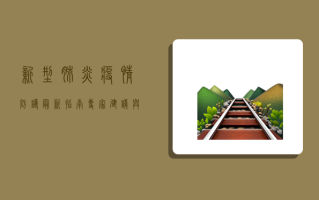 新型肺炎疫情防护最新指南，专家建议与实用技巧