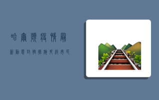 哈尔滨疫情最新动态，封控措施升级，市民生活如何调整？