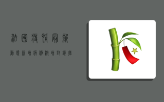 法国疫情最新动态，新增病例激增，封锁措施再度升级