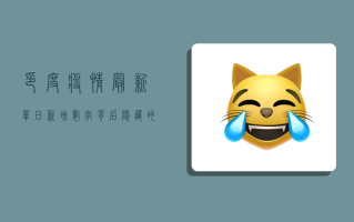 印度疫情最新单日新增，数字背后隐藏的危机与挑战
