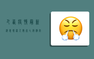 巴西疫情最新消息，感染人数、死亡病例、防控措施全解析