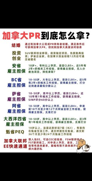 环球加拿大移民条件_环球加拿大移民费用