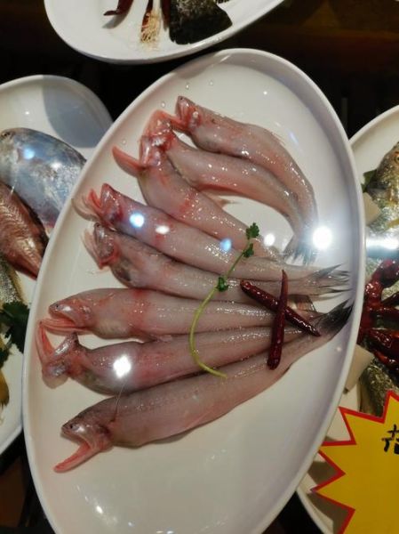 龙头鱼怎么做好吃_龙头鱼的家常做法