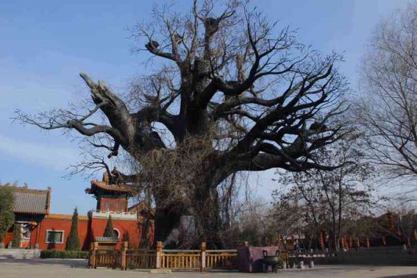 移民圣地有哪些_移民圣地怎么选