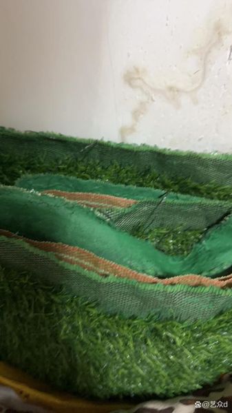 绿色草地怎么养护_绿色草地多久修剪一次