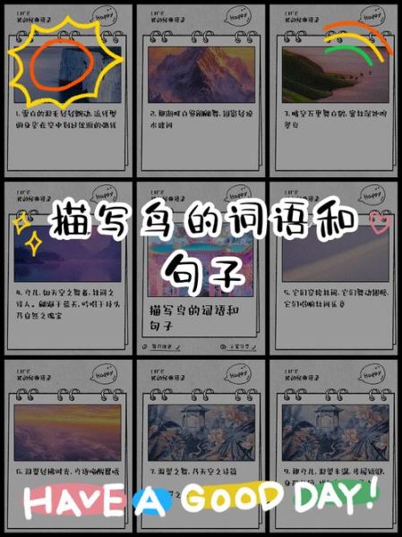 形容鸟景的词语有哪些_如何描写鸟景更生动