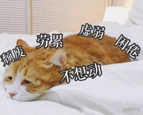 比喻疲惫的人词语有哪些_如何精准描写身心俱疲