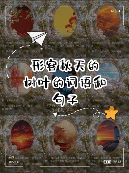 树叶是不是词语_树叶是词还是短语