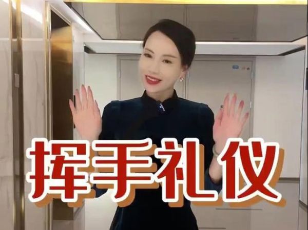 挥手手是什么意思_挥手手网络用语解析