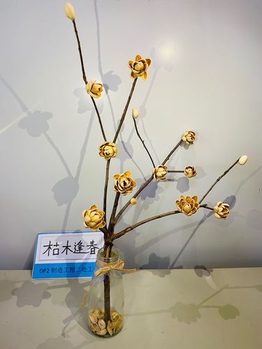 枯木逢春是什么意思_枯木还能做什么手工