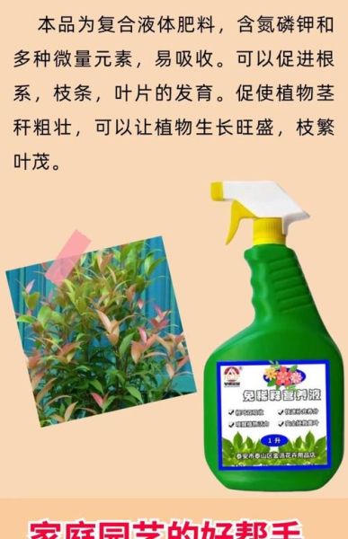 种树苗用什么肥料好_怎么种树苗成活率高