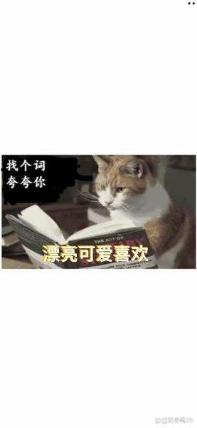 夸奖表情的词语有哪些_如何用夸奖表情提升沟通效果