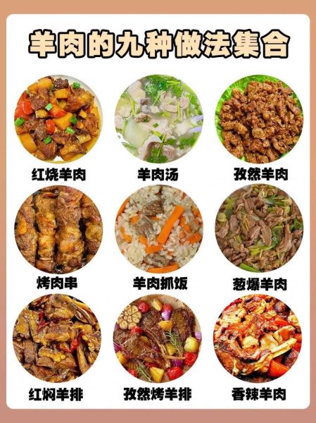 羊肉怎么做好吃_羊肉的做法大全