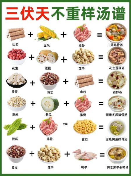 家常汤的做法大全_汤怎么炖才鲜美
