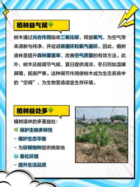 绿化有哪些好处_如何科学开展绿化