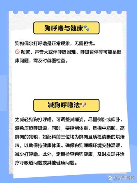 小狗睡觉为什么打鼾_小狗睡觉姿势代表什么