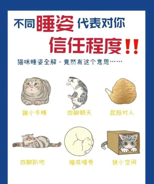 动物睡觉用什么词语_动物睡觉的雅称有哪些