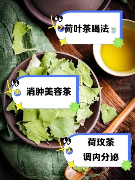 荷叶的功效与作用_荷叶减肥的正确方法