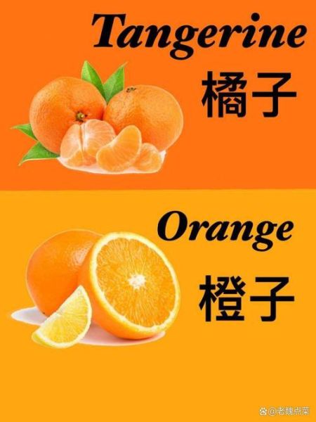 橙子颜色词语有哪些_橙色代表什么含义