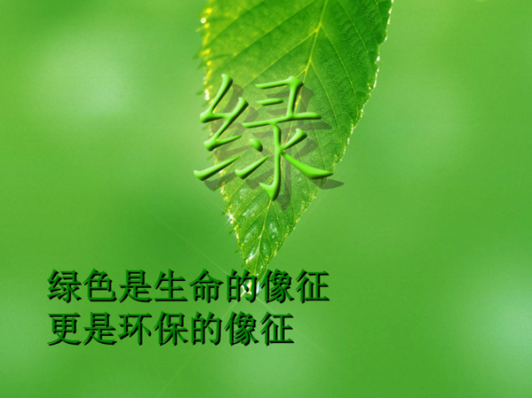 绿色象征什么意义_绿色有哪些文化内涵