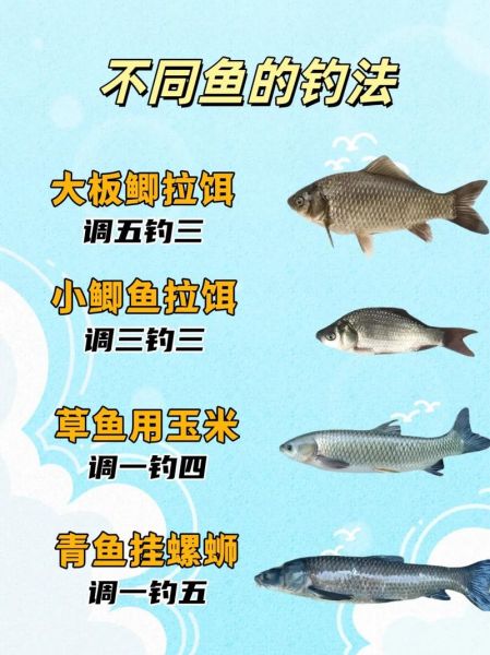 儿童钓鱼需要准备什么_怎样让娃第一次钓到鱼