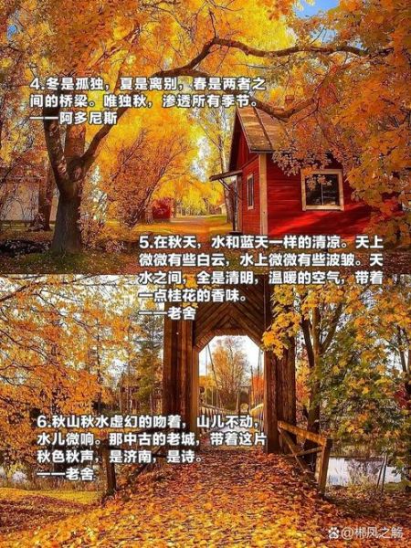 立秋景色词语有哪些_如何描写立秋景色
