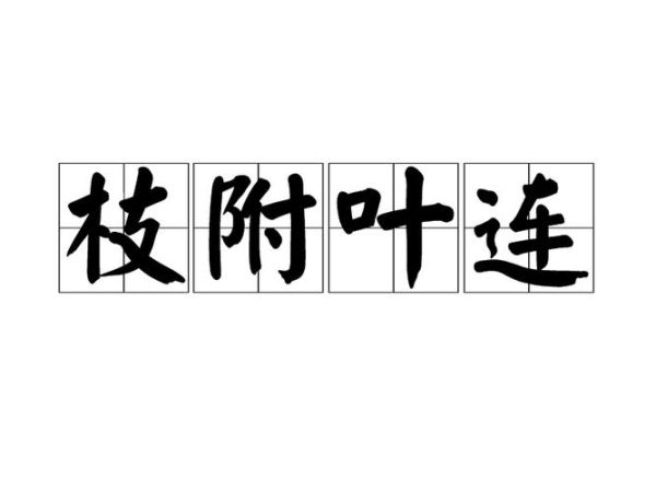 树叶连字词语有哪些_树叶连字词语怎么写