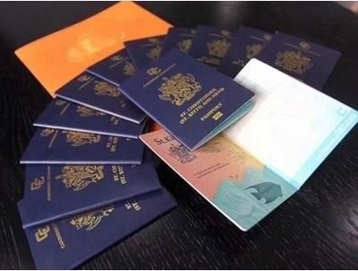移民圣基茨费用多少钱_2024最新价格清单