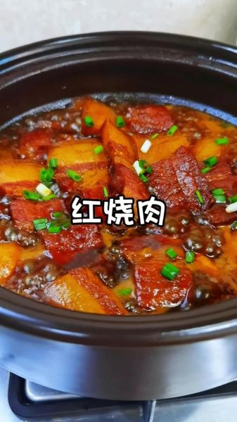 家常红烧肉怎么做_红烧肉视频教程
