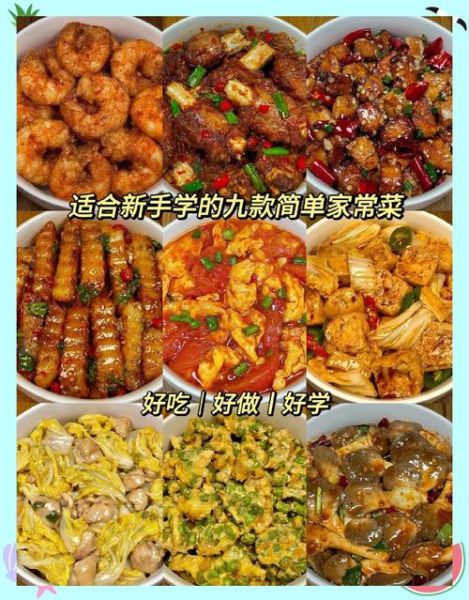 家常菜做法大全_新手如何快速学会