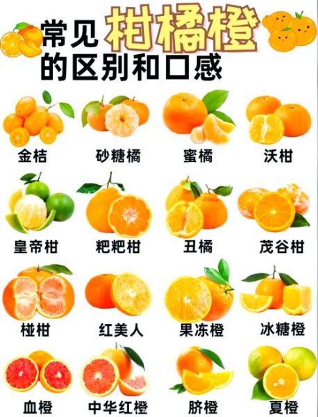 橙子怎么挑选_橙子为什么甜