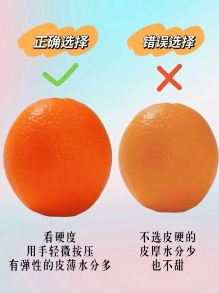 橙子怎么挑选_橙子为什么甜