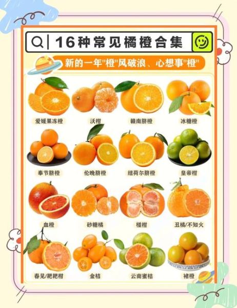 橙子怎么挑选_橙子为什么甜