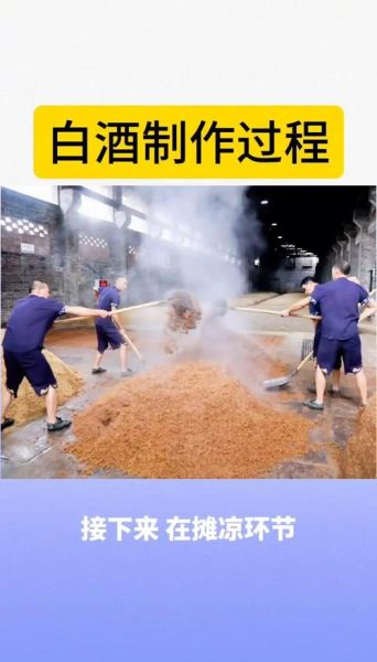 发酵白酒怎么做_发酵白酒需要多长时间