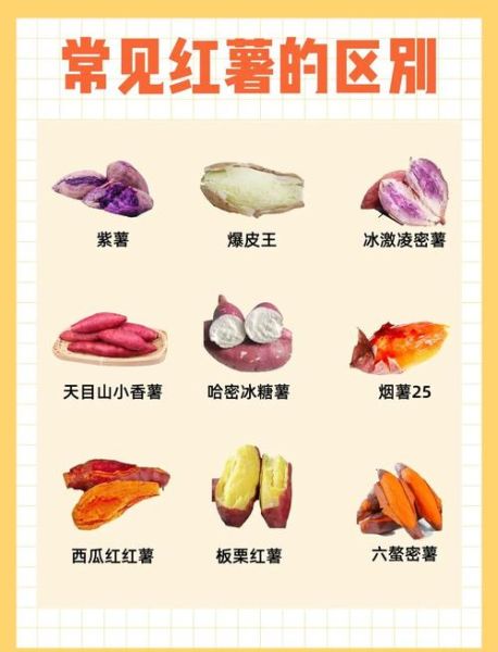 红薯的营养价值有哪些_红薯怎么吃最健康