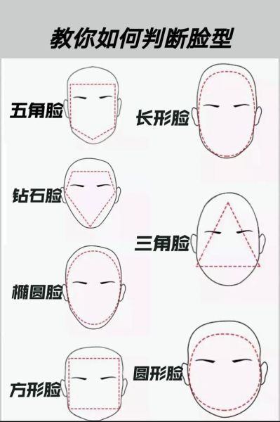 脸型是词语吗_如何判断脸型