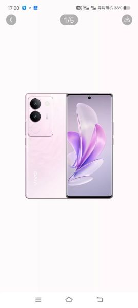 vivo手机哪款好_2024年vivo手机排行榜