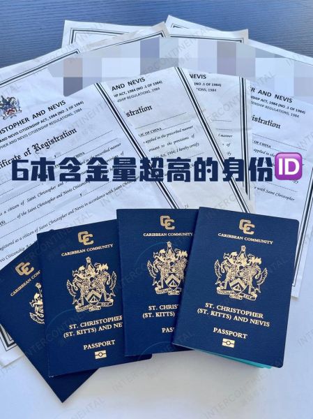 圣卢西亚移民条件_圣卢西亚护照费用