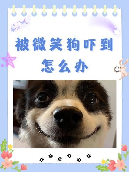 被吓到的表现有哪些_如何缓解极度恐惧