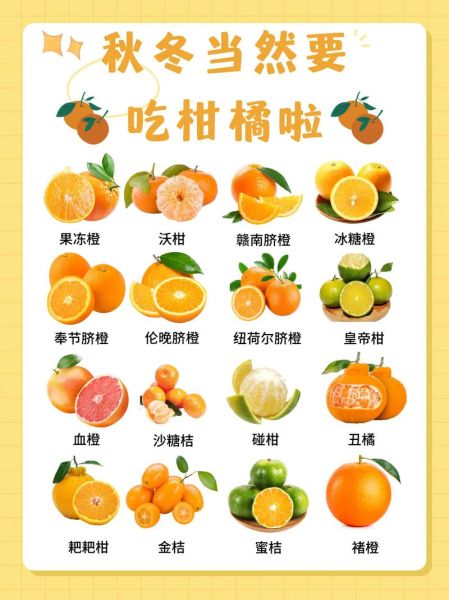 柑子什么时候吃最好_柑子有哪些品种