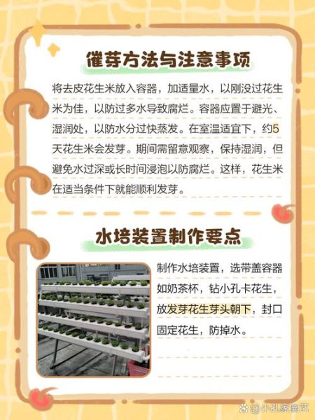 花生芽怎么发_花生芽的做法步骤