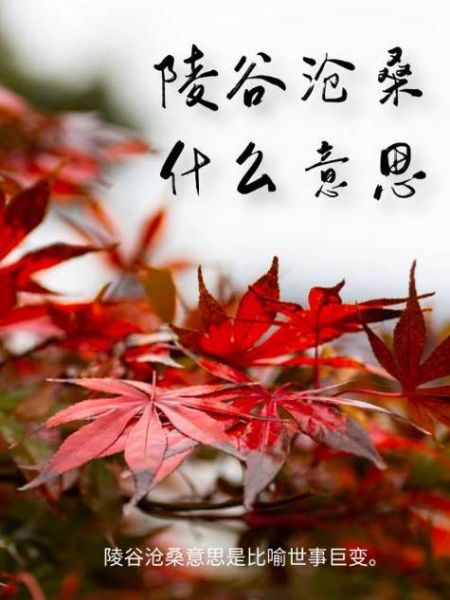 描写谷词语有哪些_描写谷词语怎么写