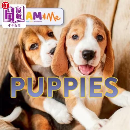 how_to_train_a_puppy_to_sit_best_dog_food_for_puppies
