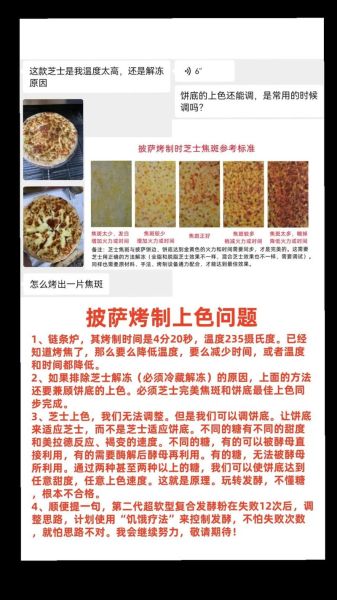 披萨怎么做_披萨烤箱温度和时间多少