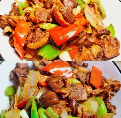 红烧鸭肉怎么做才好吃_红烧鸭肉的家常做法