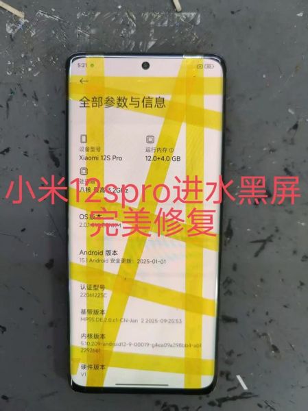 手机进水黑屏怎么办_手机进水黑屏维修费用