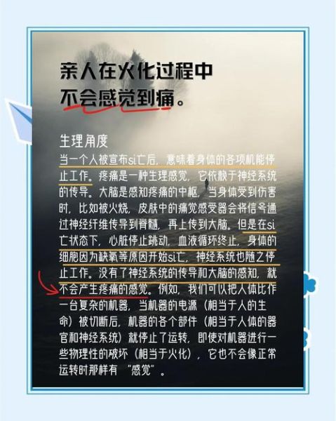 人死去了会去哪里_如何面对亲人离世