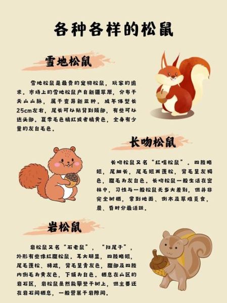 松鼠性格特点有哪些_如何与松鼠性格的人相处