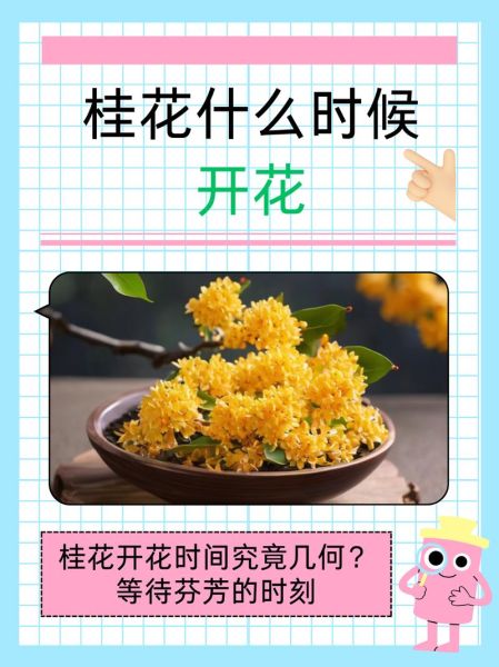 桂花怎么养_桂花树多久开花
